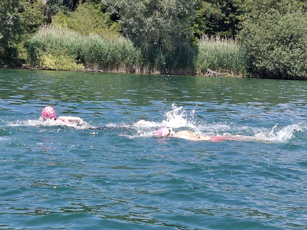 Bild3